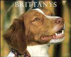 Just Brittanys 2010 Wall Calendar
