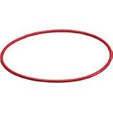 Olympus O-RING UW PT-019 C-5000