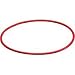 Electronics : Olympus POL-020B Replacement O-Ring for the PT-020 & PT-027 (Front Lid) Underwater Housing