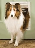 Medium Pet Door, White