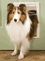Medium Pet Door, White