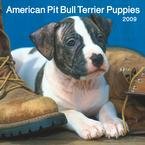 American Pit Bull Terrier Puppies 2009 Wall Calendar