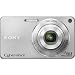 Sony DSC-W350 14.1MP Digital Camera with 4x Wide Angle Zoom with Optical Steady Shot Image Stabilization and 2.7 inch LCD (Silver)