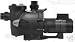Jandy Stealth 1 HP UR Pool Pump SHPM1.0 SHPM10