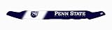EGR 301620PEN Penn State Nittany Lions Collegiate Shield