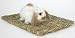 Pet Supplies : Woven Grass Mat - 11 1/4 in. x 16 in.