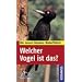 Welcher Vogel ist das?