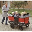 TURTLE KIDDY BUS STANDARD 4 PERSON