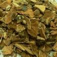 Cramp Bark Herbal Capsules
