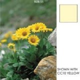 Cokin Filter YELLOW CC30 FILTER P725