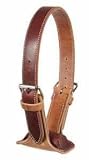 The DARE Cribbing Control Collar