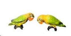 Dollhouse Miniature Pair of Lovebirds in Yellow & Green