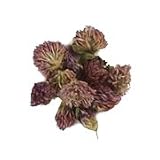 Red Clover Blossoms - 1 Lb. - Bulk