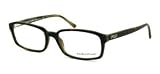 Polo Ralph Lauren Sunglasses PH2003 Top Havana/ Green Horn(oz)