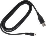 Blackberry Rim Universal Mini USB to USB Charging Cable.