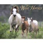 Wild Horses 2009 Wall Calendar