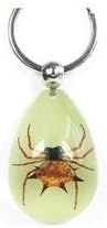 Spiny Spider Key Ring - Glow in the Dark