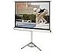 119IN Diag Portable Pull Up Screen 1:1 84X84 Tripod Black Case