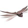 Uncle Milton Flying Bat