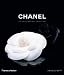 Books : Chanel: Collections and Creations [Hardcover]
