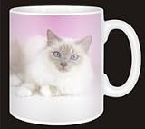 Review Advanta  / BIRMAN LILAC CAT Coffee Mug