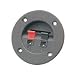 Terminal plate, 2 x sprung terminals, 75mm�