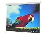 Luma Manual Projeciton Screen Matt White 96X96IN