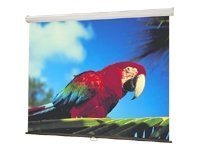 Draper Luma NTSC Format Fiberglass Matt White - Projection screen - matte white
