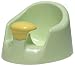 Search Our Specialty Mall : CLOSEOUT Prince Lionheart bebePOD In Sage