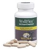 Wellness ''WellFlex'' for Dogs (60-ct bottle)