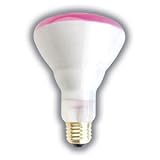 BR30 PINK FLOODLIGHT BULB 65 WATTS 10,000 HOURS LONG LIFE MEDIUM BASE 130 VOLTS PINK LIGHT BULB