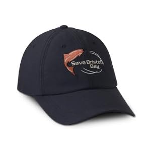 Buy Sage Save Bristol Bay Hat by Sage