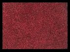 Machine washable doormat dirt trapper absorber door mat red 60 x 40 cm