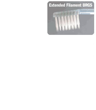 Pack of 4 Extended Filament Brush Heads For HyG Ionic Toothbrush