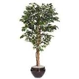Artificial Ficus Tree, 1008 Leaves, 6-ft. Height