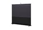 Sony VPS-80DS 80-Inch DynaClear Home Theater Screen