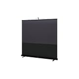 Sony VPS-80DS 80-Inch DynaClear Home Theater Screen