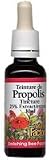 Natural Factors Bee Propolis Tincture 25%, 1-Ounce