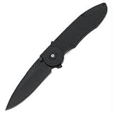 Sporting Goods : Buck 297BK Sirus, Assisted Opening, Liner Lock Folding Knife
