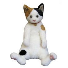 Cover image : Cuddly小春ぬいぐるみ49cm