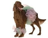 Lil Ballerina Dog Costume -Medium