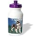 Dogs Siberian Husky - Siberian Husky Puppy - Water Bottles