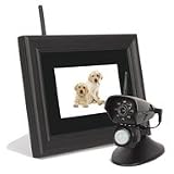 Pictorea Pro 7