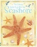The Usborne little book of the seashore
