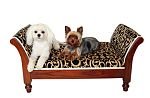 Pet Day Bed