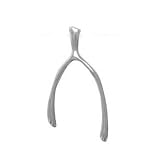 Sterling Silver Small Sculptured Wishbone Pendant