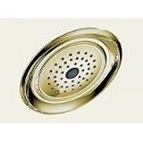 Delta Faucet Touch Clean Raincan Showerhead RP48686PB