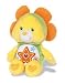 Superstar Care Bear in Flower Costume