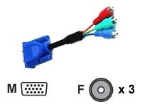 InFocus - Adaptateur vidéo - HD-15 (M) - RCA (F) - 17.8 cm