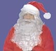Santa Wig and Beard Washable